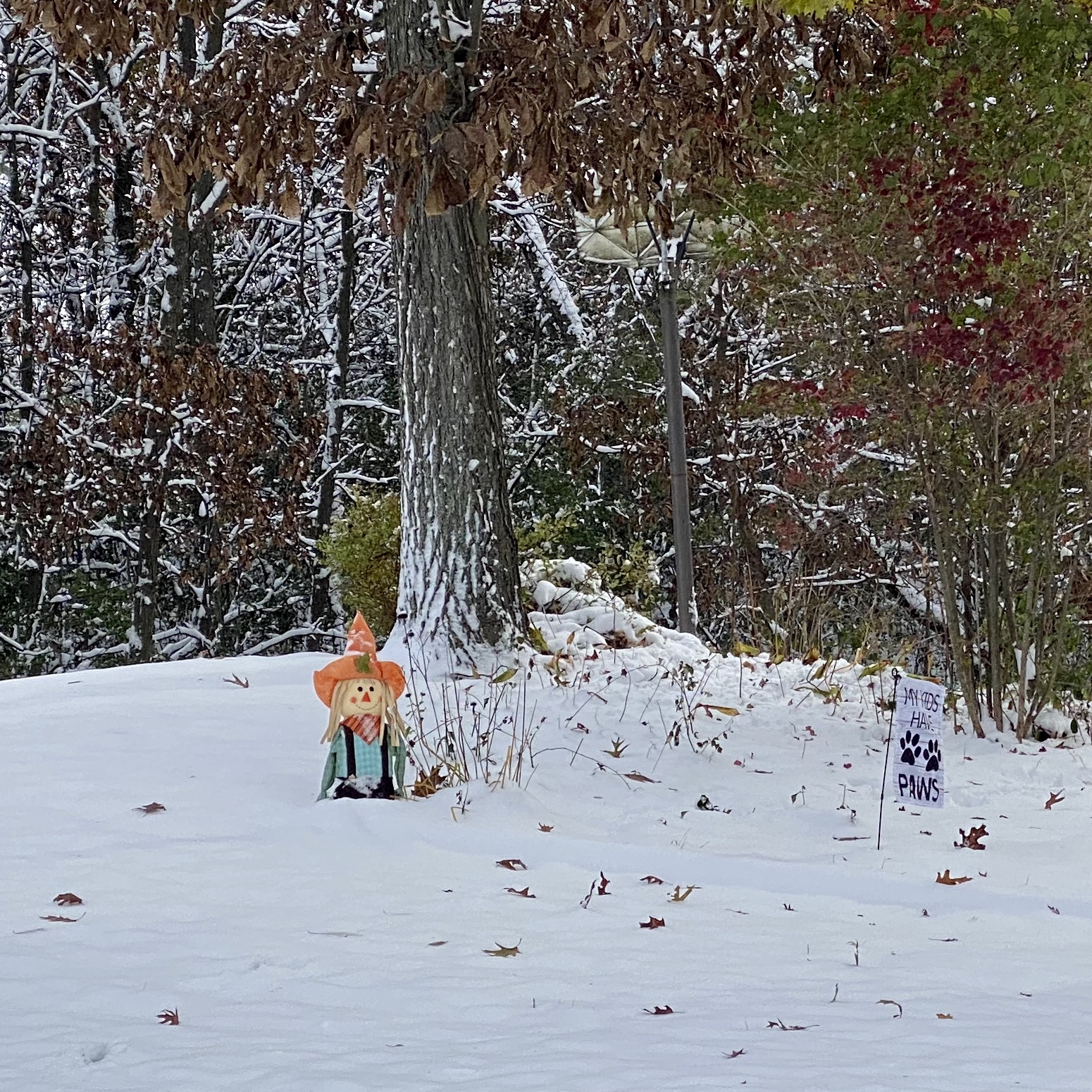 Photo of a scarecrow half covered in the recent shitty snow